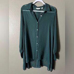 Caffe Marrakesh Sheer Button Up Swiss Dot Long Sleeve Hunter Green Blouse 1X